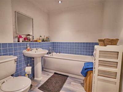 Picture 11
